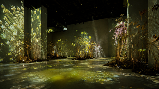 Immersive exhibition view with green plants.